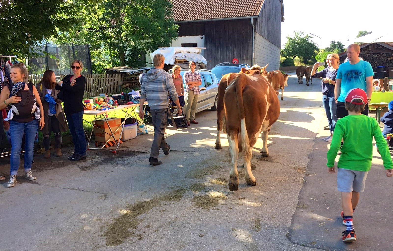 Flohmarkt Farchach Kuh