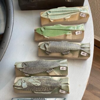 Fische zu adoptieren!