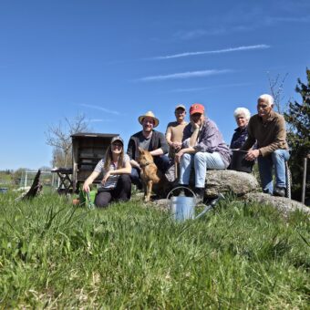 Neue Stauden für die Blühflächen