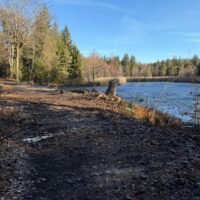 Kahlschlag am Schwarzweiher - Damm gesperrt