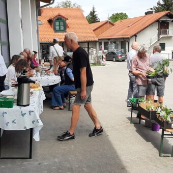 9.5.: Pflanzen- und Saatgutmarkt