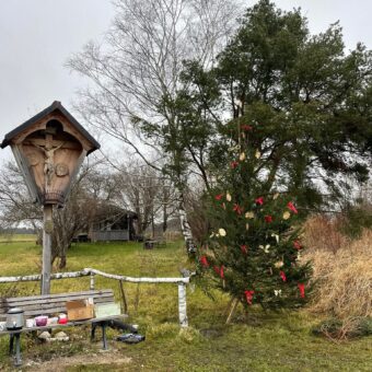 Der Weihnachtsbaum am Wegkreuz