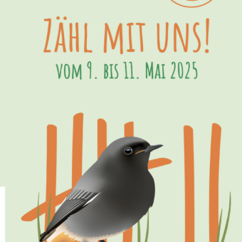 Die Stunde der Gartenvögel 2025