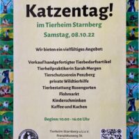 Katzentag im Tierheim Starnberg