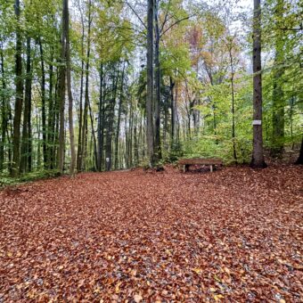 Doch noch: die letzte Gemeinderatssitzung
