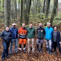 Es werde Licht! Waldarbeiten im Berger Schlosspark