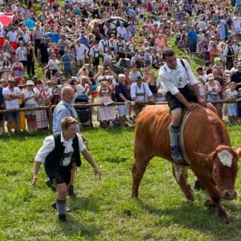 Nachtrag zum Ochserer: die kleine Pirouette