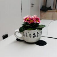 Baumängel im neuen Rathaus / der Praxistest Baumängel im neuen Rathaus / der Praxistest