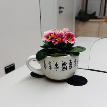 Baumängel im neuen Rathaus / der Praxistest