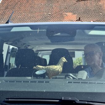 Phalsbourg zu Gast in Berg