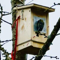 Bezahlbarer Wohnraum