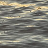 Wasser