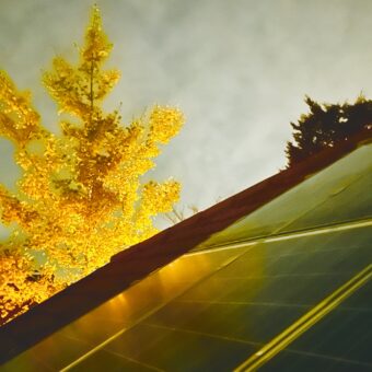 23 Tagesordnungspunkte, Steuererhöhungen, absurde Bauanträge … die Gemeinderatssitzung vom Ende Oktober