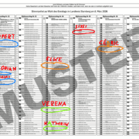 Die Kreistagswahl / taktisch richtig gewählt