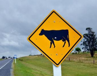 DER LEGENDÄRE QUH-JAHRESRÜCKBLICK 2025 / PT.4