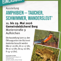 11.-29.5.: Amphibien - Taucher, Schwimmer, Wandersleut'