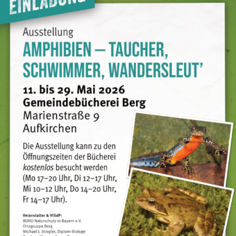 11.-29.5.: Amphibien – Taucher, Schwimmer, Wandersleut’