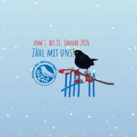 Noch bis 11.1.: Die Stunde der Wintervögel