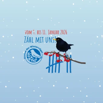 Noch bis 11.1.: Die Stunde der Wintervögel