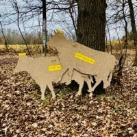 Hitziger Wahlkampf Hitziger Wahlkampf