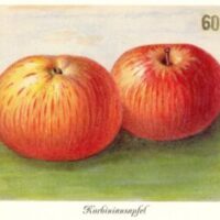 Wie man in Aufkirchen aus dem KZ entfliehen konnte .... (heute QUH-Kino in Höhenrain) Wie man in Aufkirchen aus dem KZ entfliehen konnte .... (heute QUH-Kino in Höhenrain)