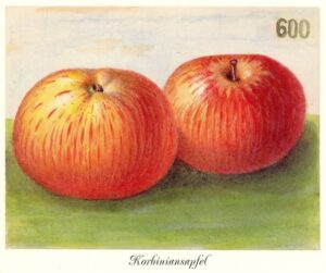 Wie man in Aufkirchen aus dem KZ entfliehen konnte …. (heute QUH-Kino in Höhenrain)