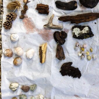 9.6.: BergSpektiven-Tour durch Holz und Filz