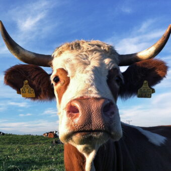 Der legendäre QUH-Jahresrückblick 2025 / pt.2